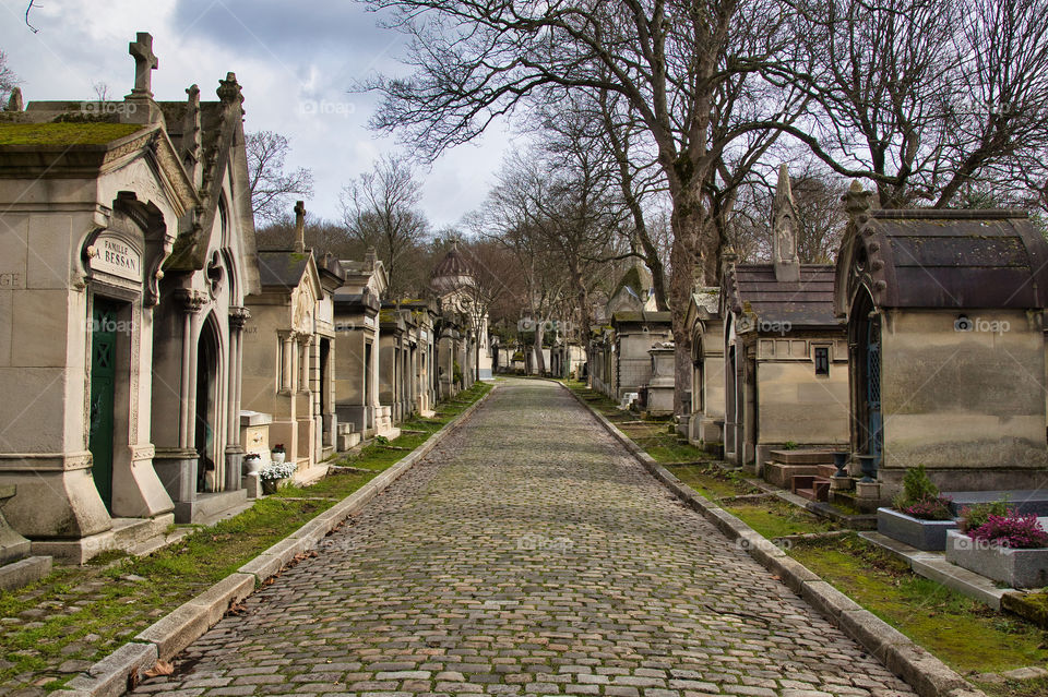graveyard in the cemetery in paris