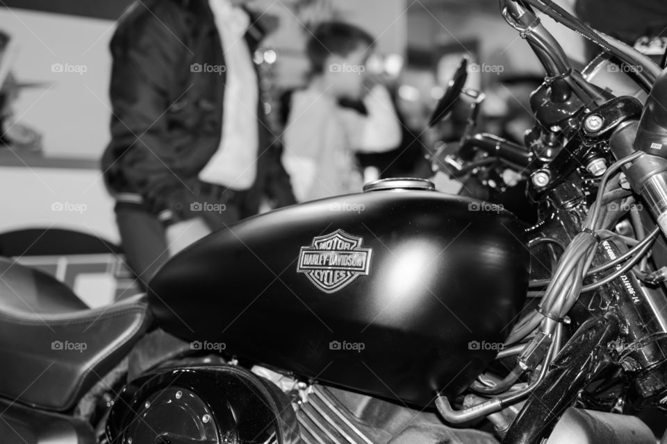 harley davidson motorcycle on belgrade motorshow fair 2016