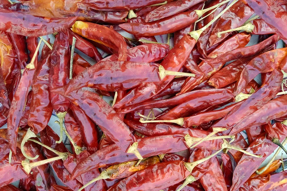 Red Chilli Pepper