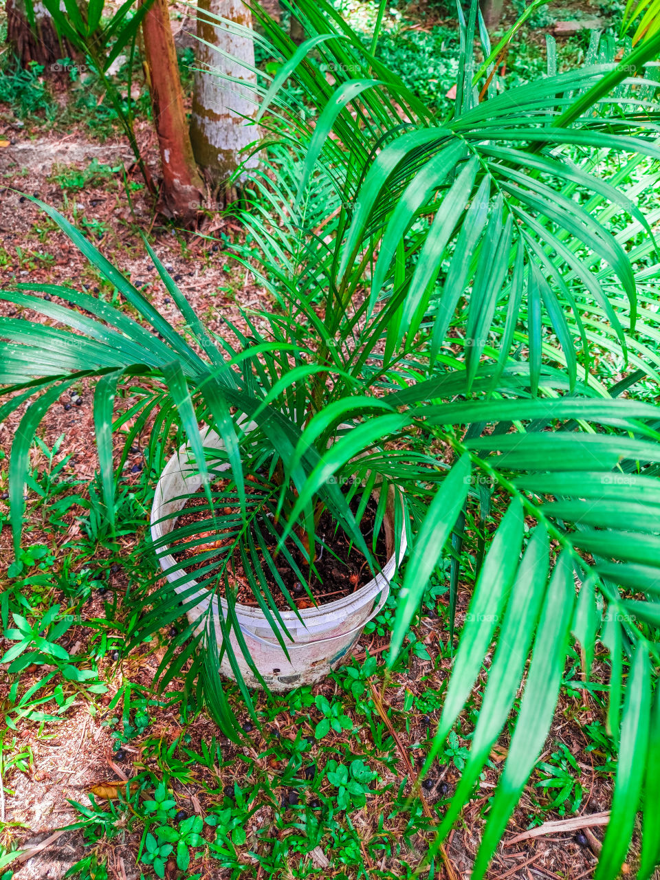 foto com boa resolução, e editada.