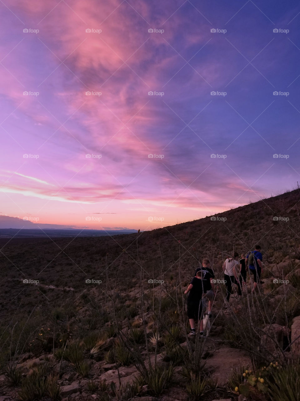 Desert Hike