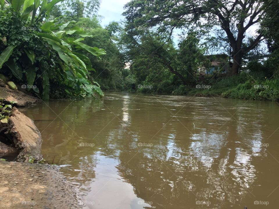 Water, River, Landscape, Nature, Tree