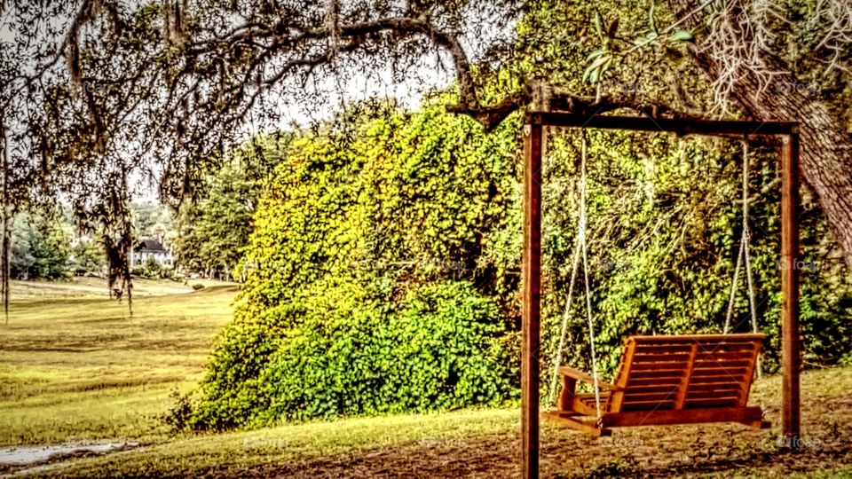 Tree, Wood, Nature, Flora, Leaf