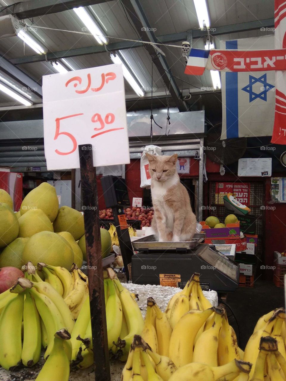 Carmel Market Guardian - Tel Aviv