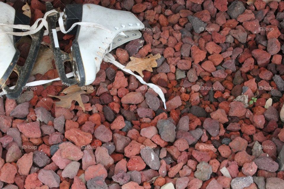 Uncommon Occurrences 