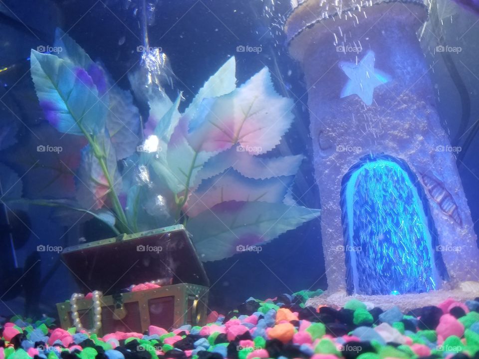 Fish Tank 😍