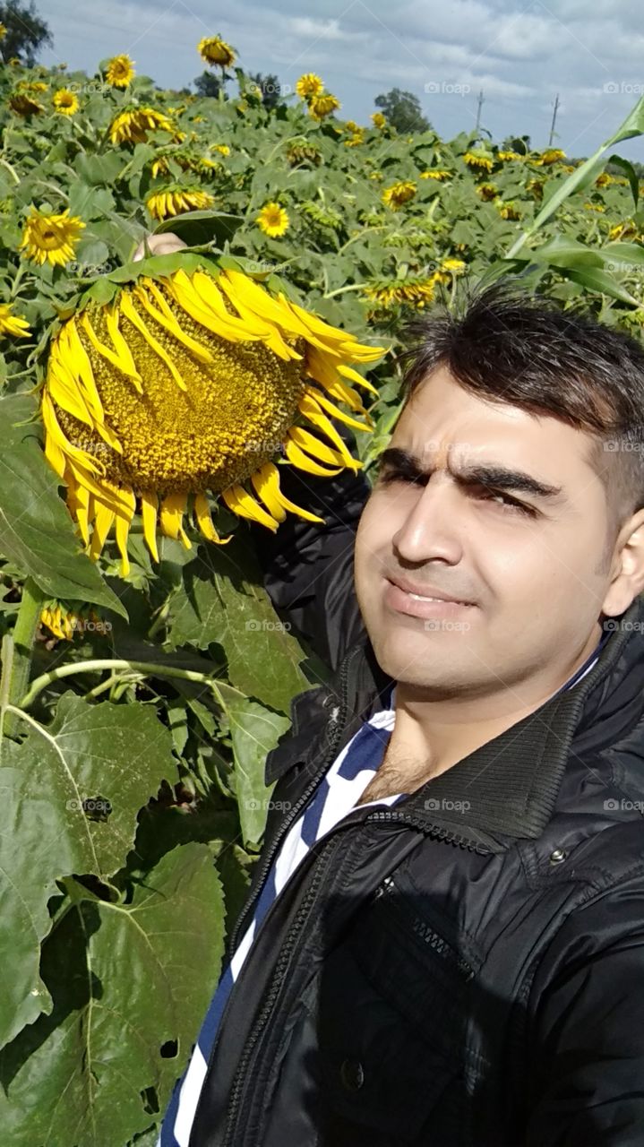 Big Sun flower