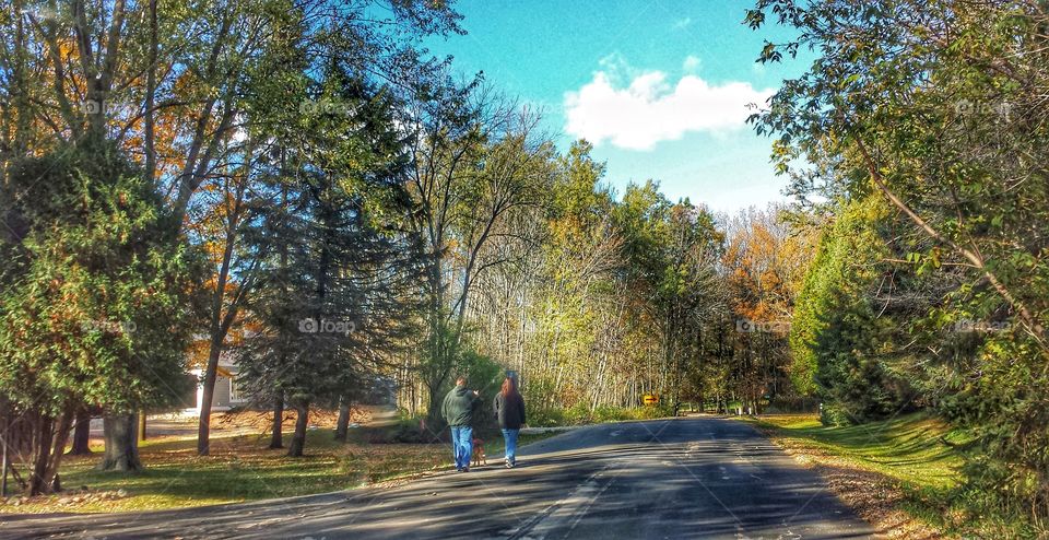 Autumn Afternoon. Walking the Dog