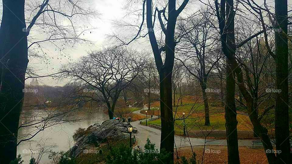 Central Park - New York City / Olympus E620
