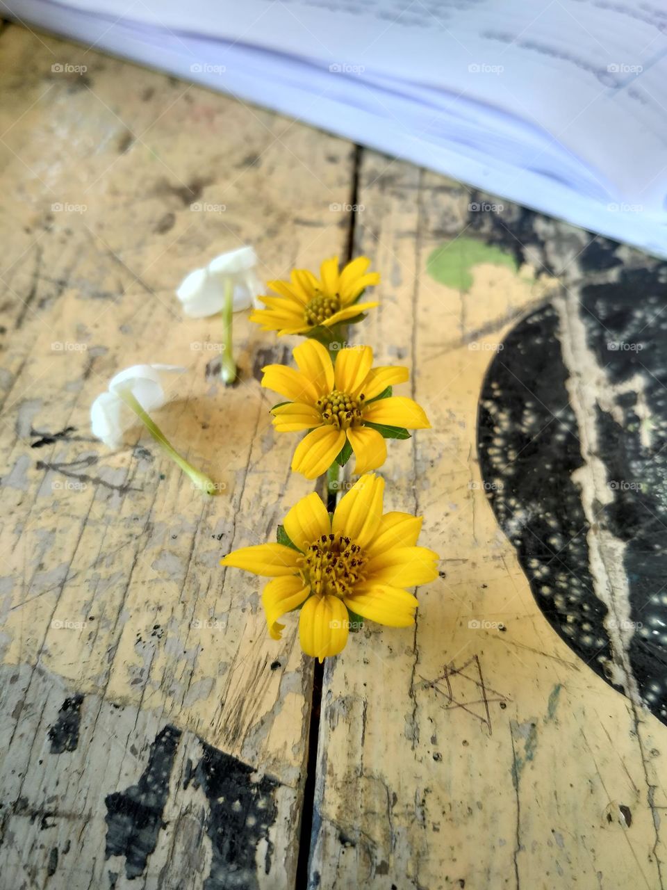 On this surface, there are a few small flowers