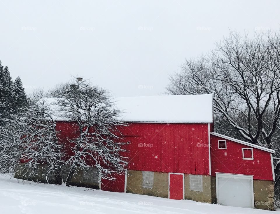 A red barn standing in a snow storm 