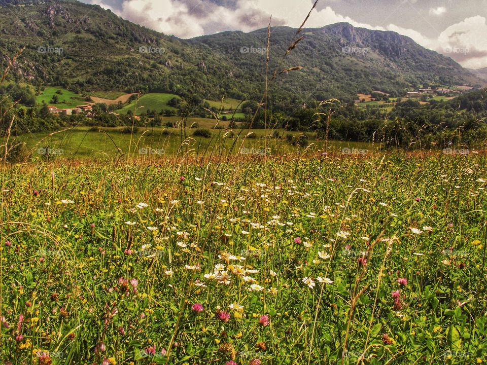 Pyrenees. Ariege