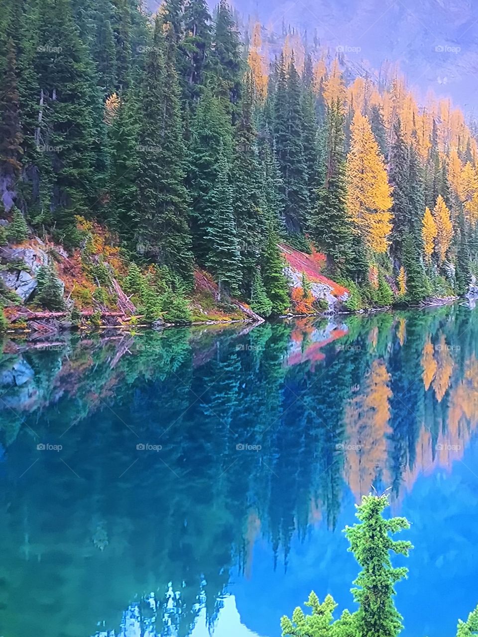 Autumn lake