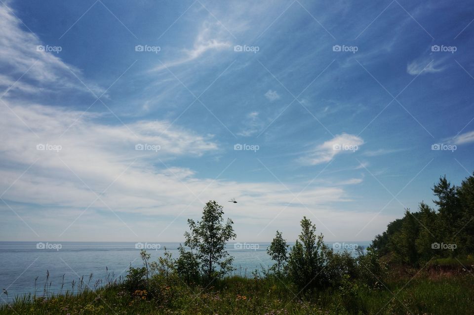 Lake Vista. Dragonfly Captured in Flight