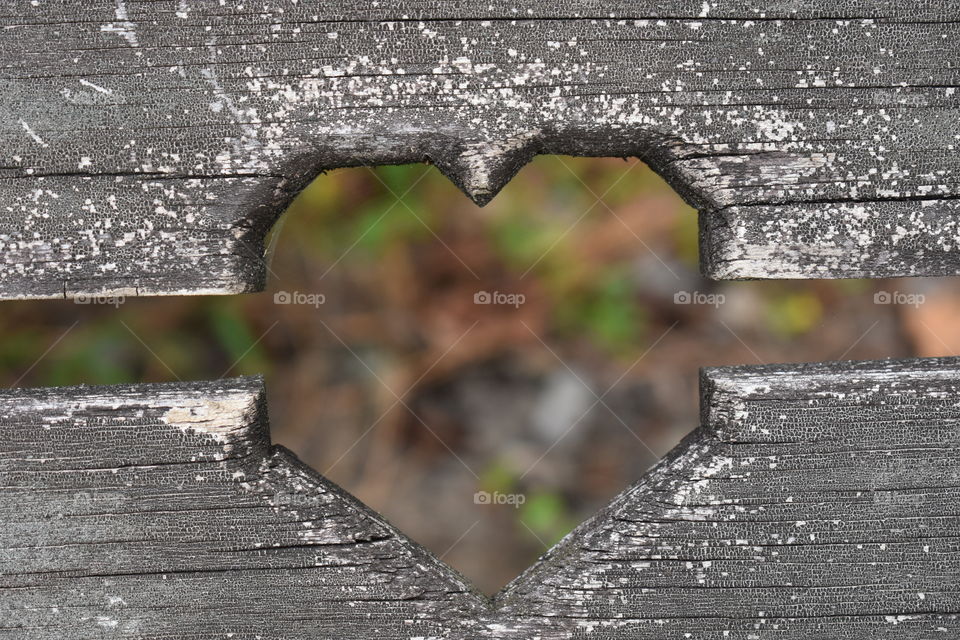 A heart shape in old wood.