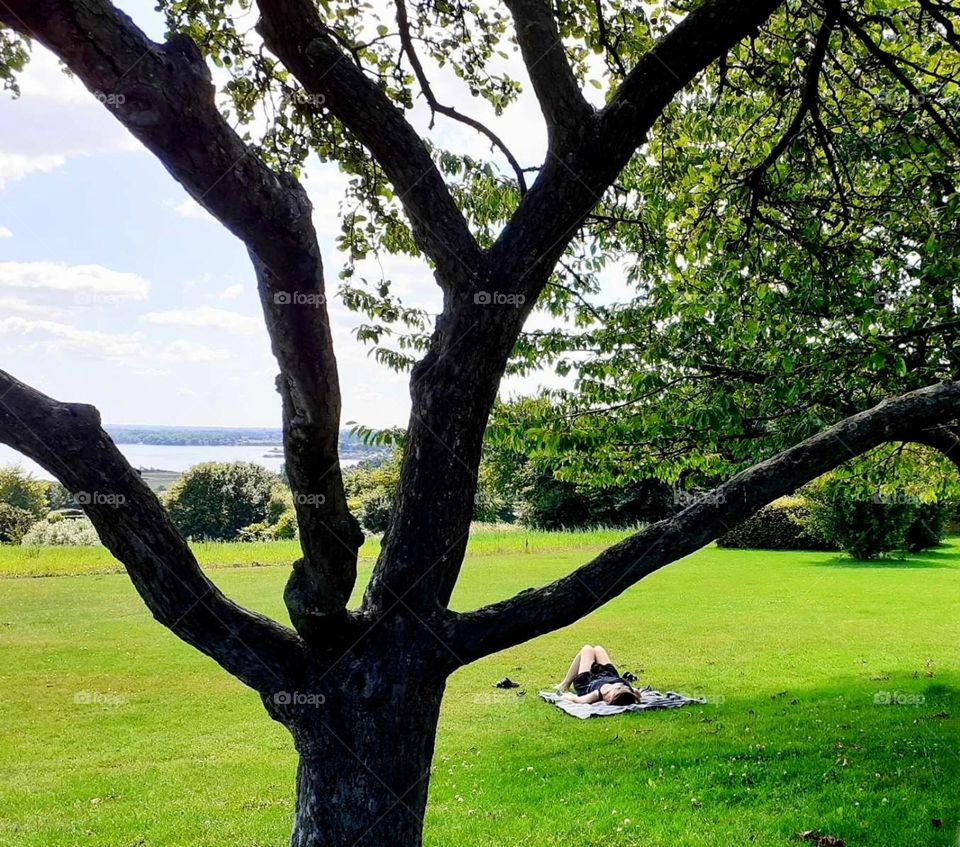 meditation under the trees