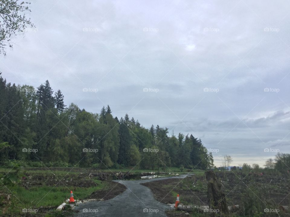 Nature Conservation at the Park