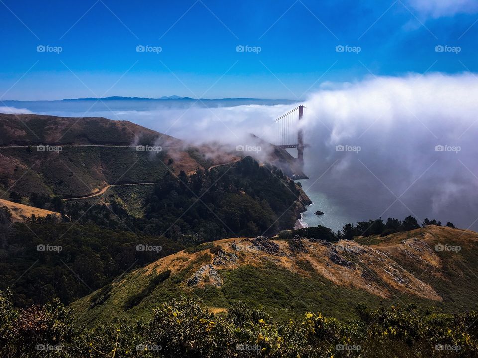 The fog and the Golden Gate Bridge. 