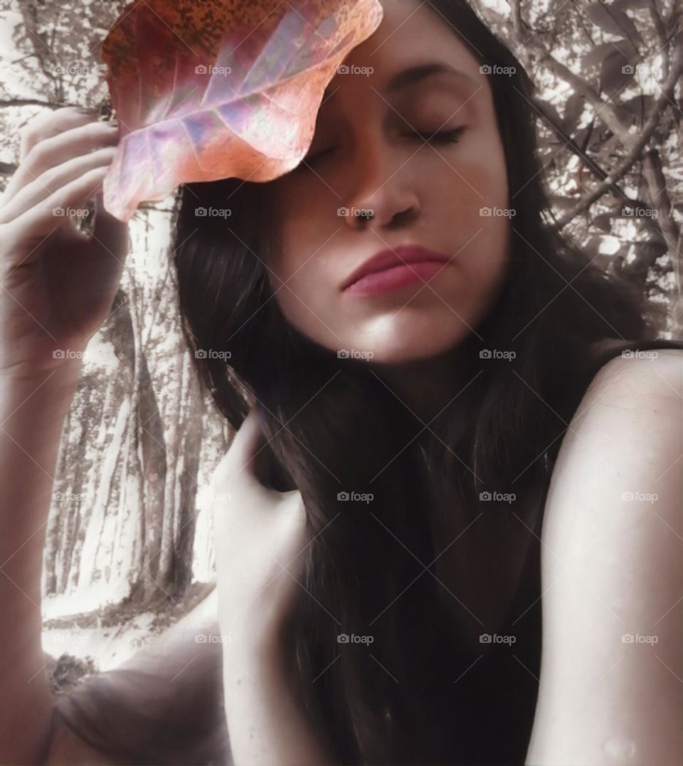 O toque suave e sábio da folha escarlate.