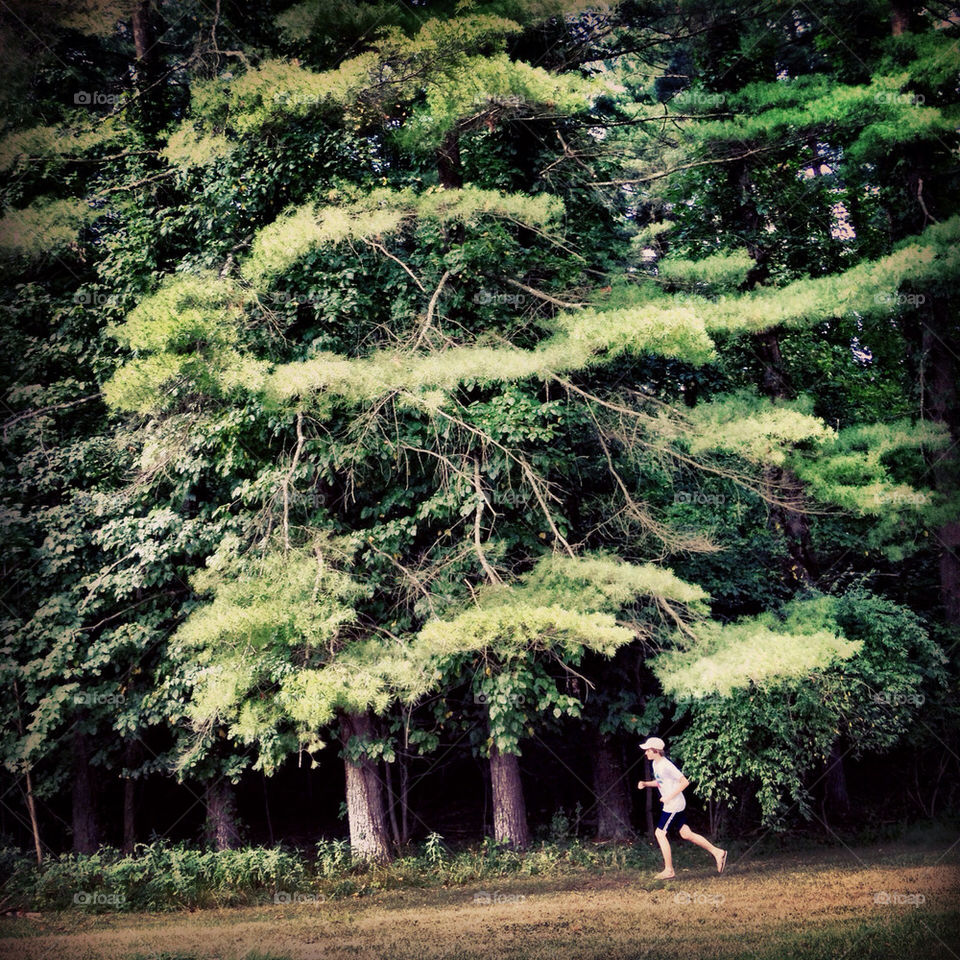 trees kid camp runner by detrichpix