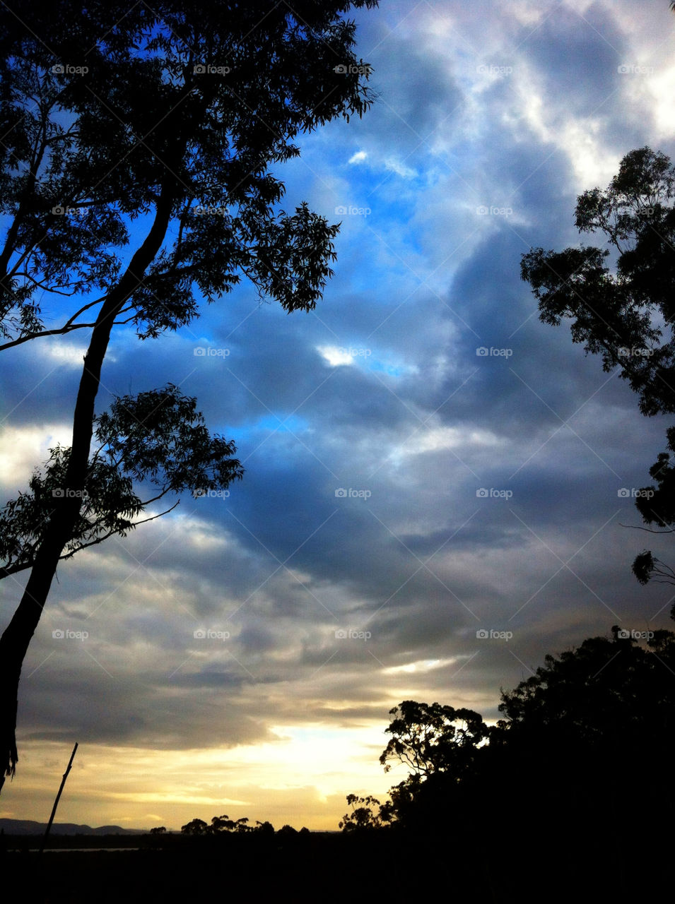 sky blue tree clouds by king