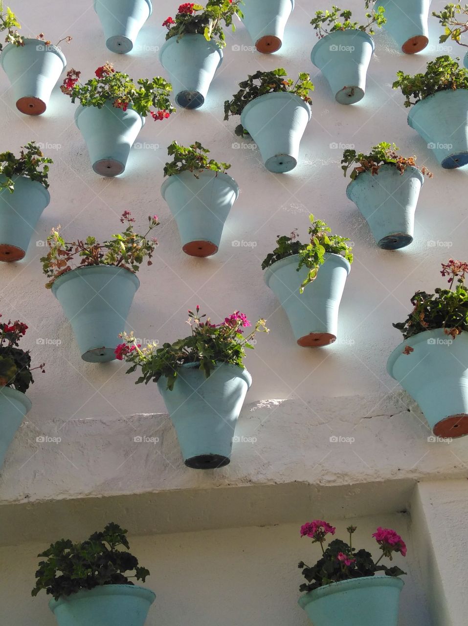 crazy plant people mission