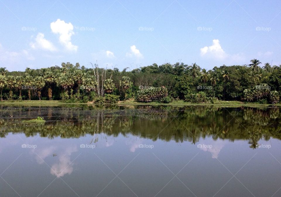 Lake reflection 