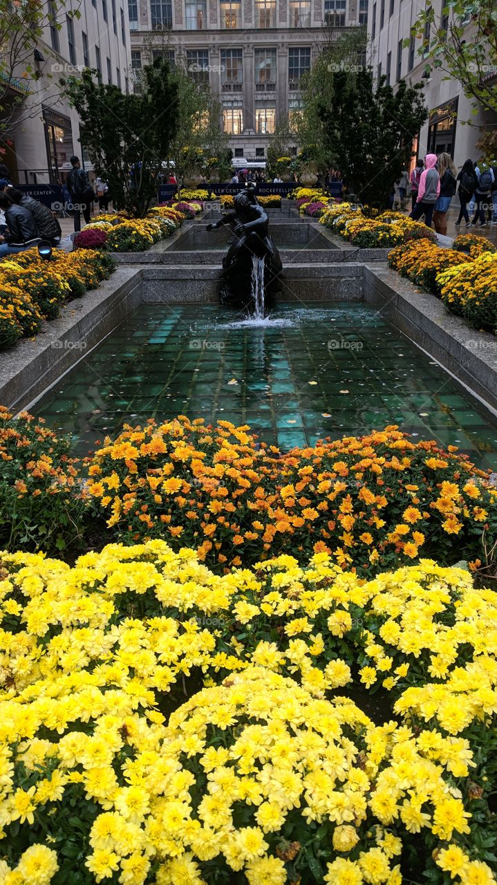 Yellow and Orange Flower Around A Bronze Statue and Fountain in Rockefeller Center, NYC