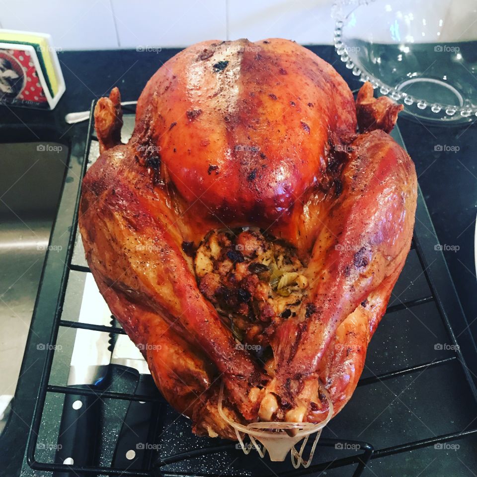 How beautiful is this turkey?