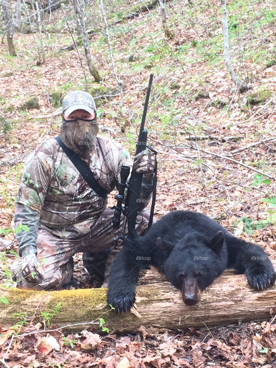 Bear hunting N.B. Canada 