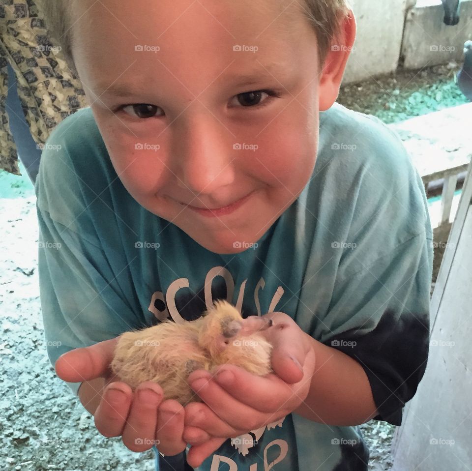 New Life. This is my grandson enjoying a visit to his great-grandfather's pigeon loft. 