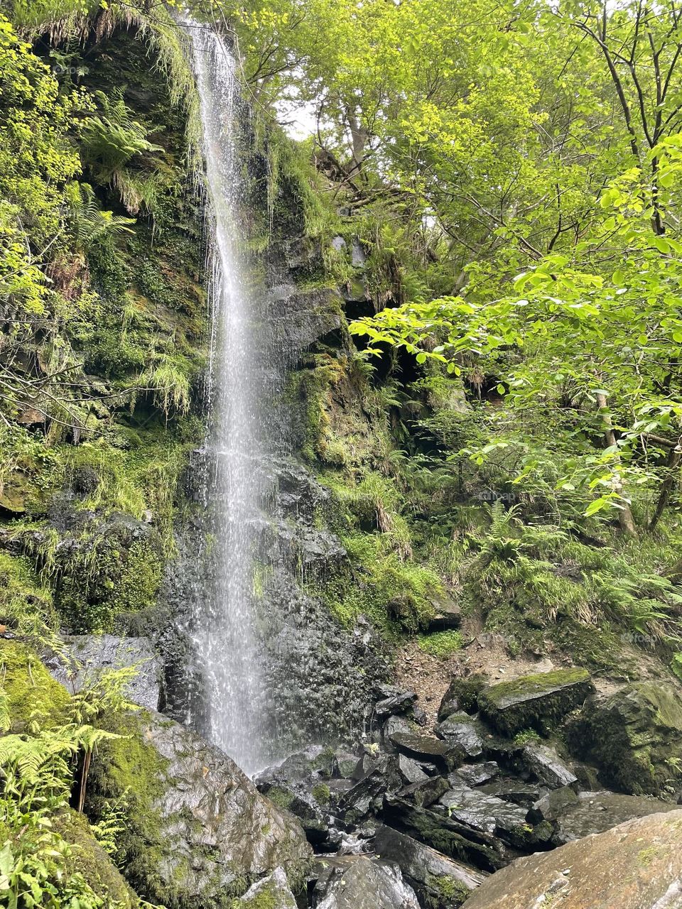 Long drop narrow waterfall cascading down into the river Esk … Mallyan Spout near Goathland, Yorkshire 🇬🇧