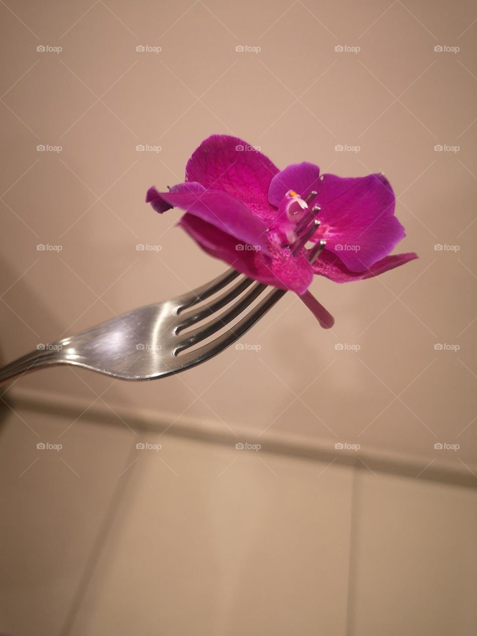Fork and orquídea