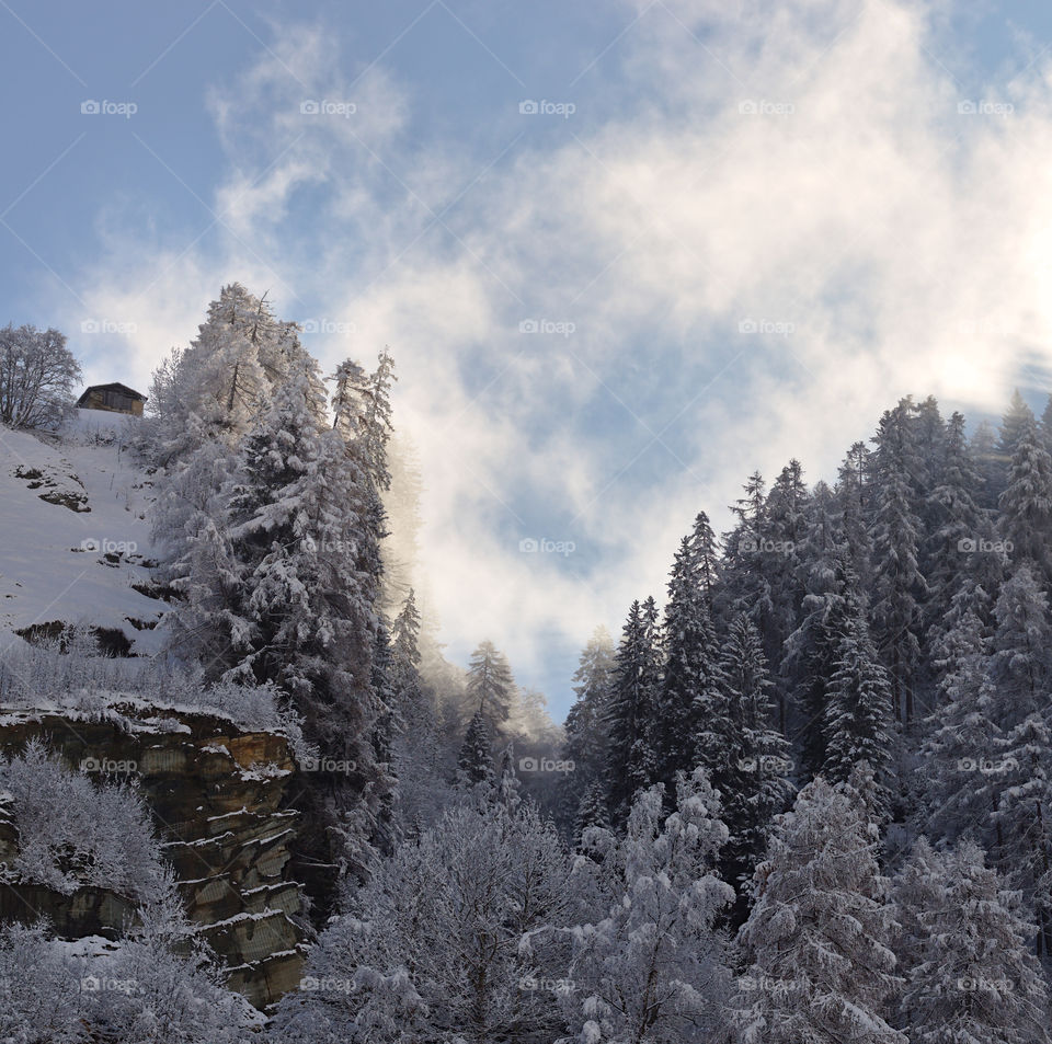 Fog above Snow covered forest lit by sunset  with little hut on hill.