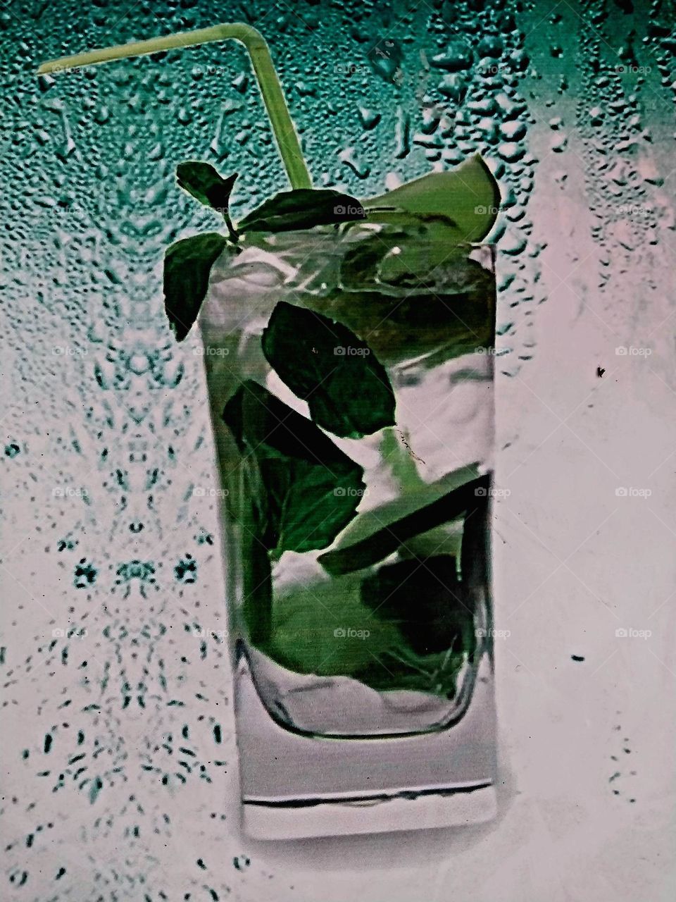 mit mojito