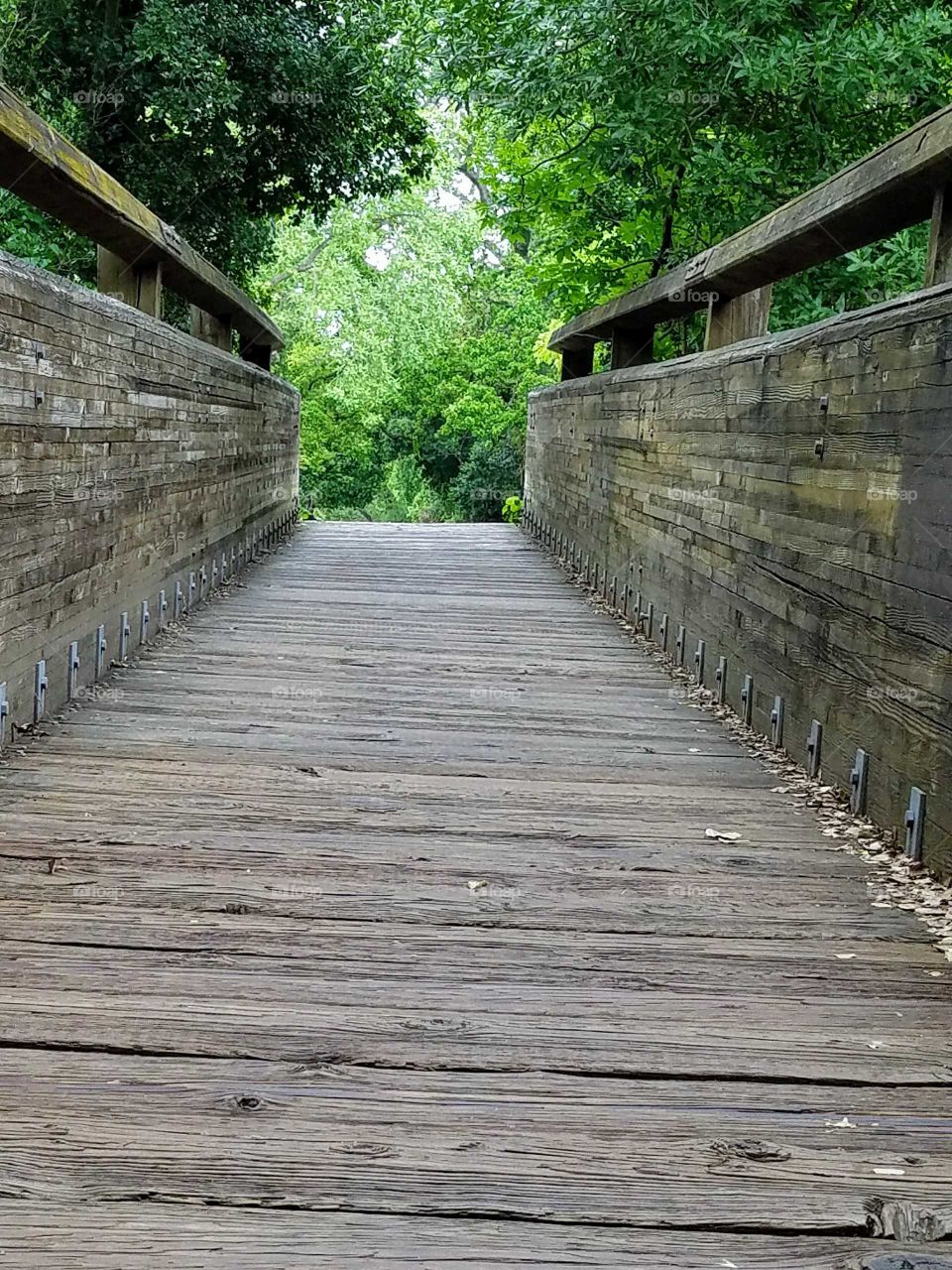 Wooden Bridge