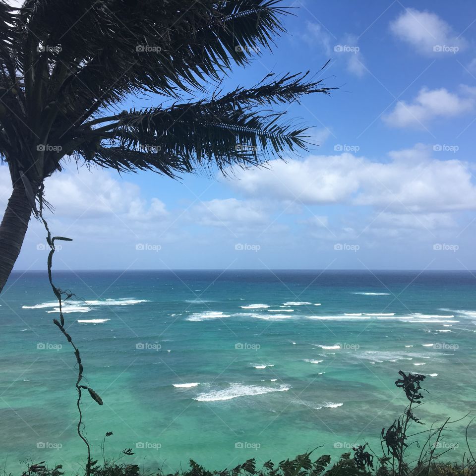 Oahu, Hawaii shoreline 
