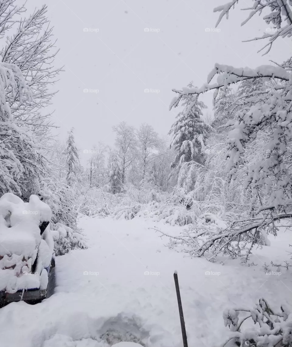 Snowy