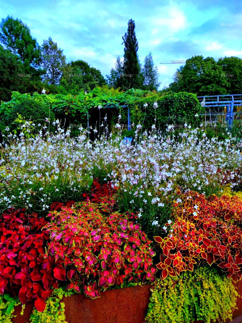 garden of all senses in Finland