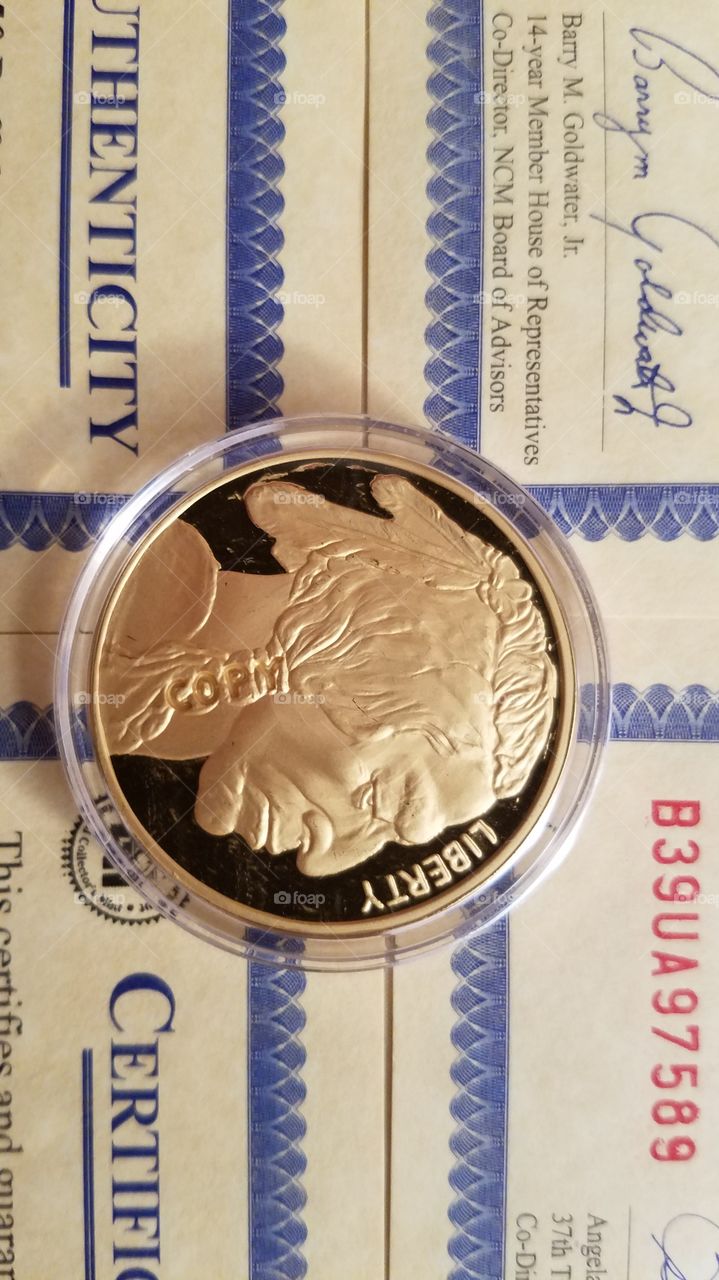 gold buffalo nickel from 2005
