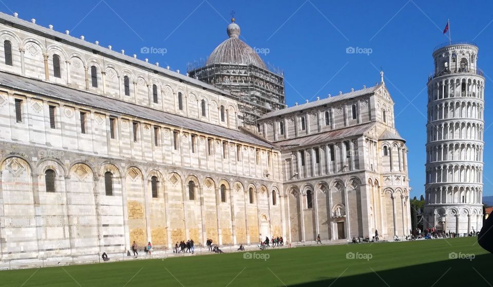 Pisa