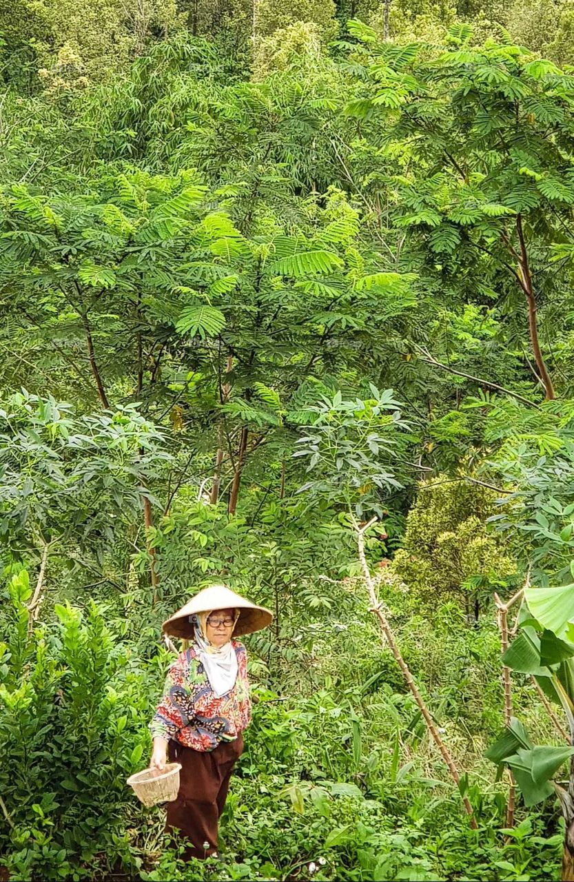 A lady farmer passing through a small forest area.