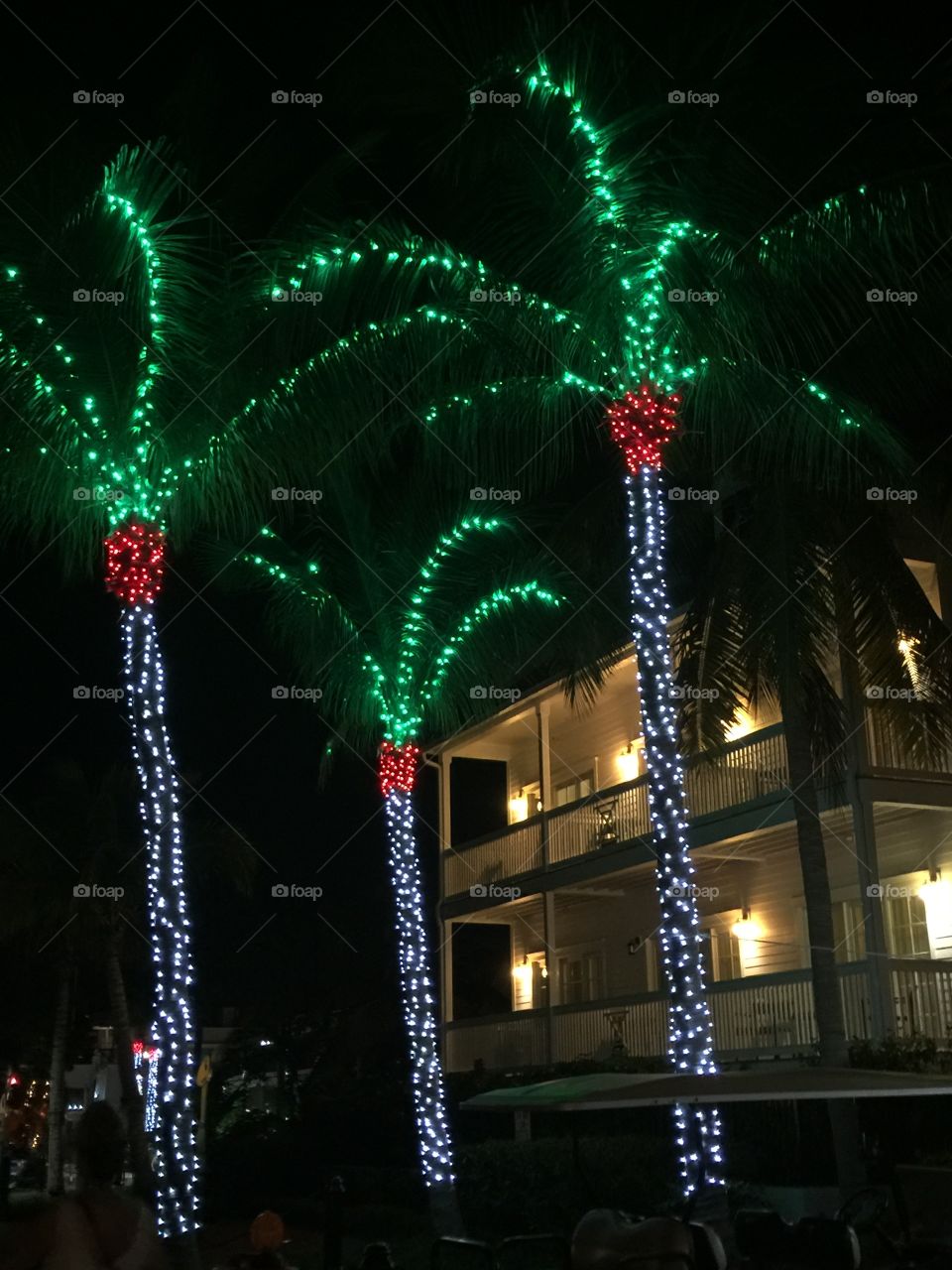 Christmas lights on palm trees in Key West, Florida, USA