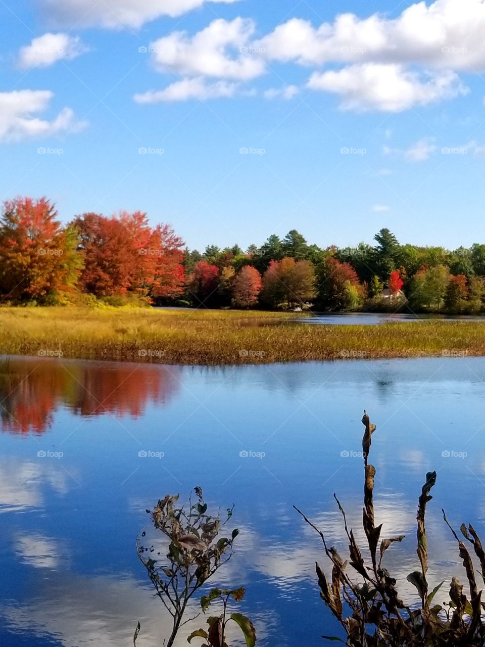 A Maine fall in it's prime