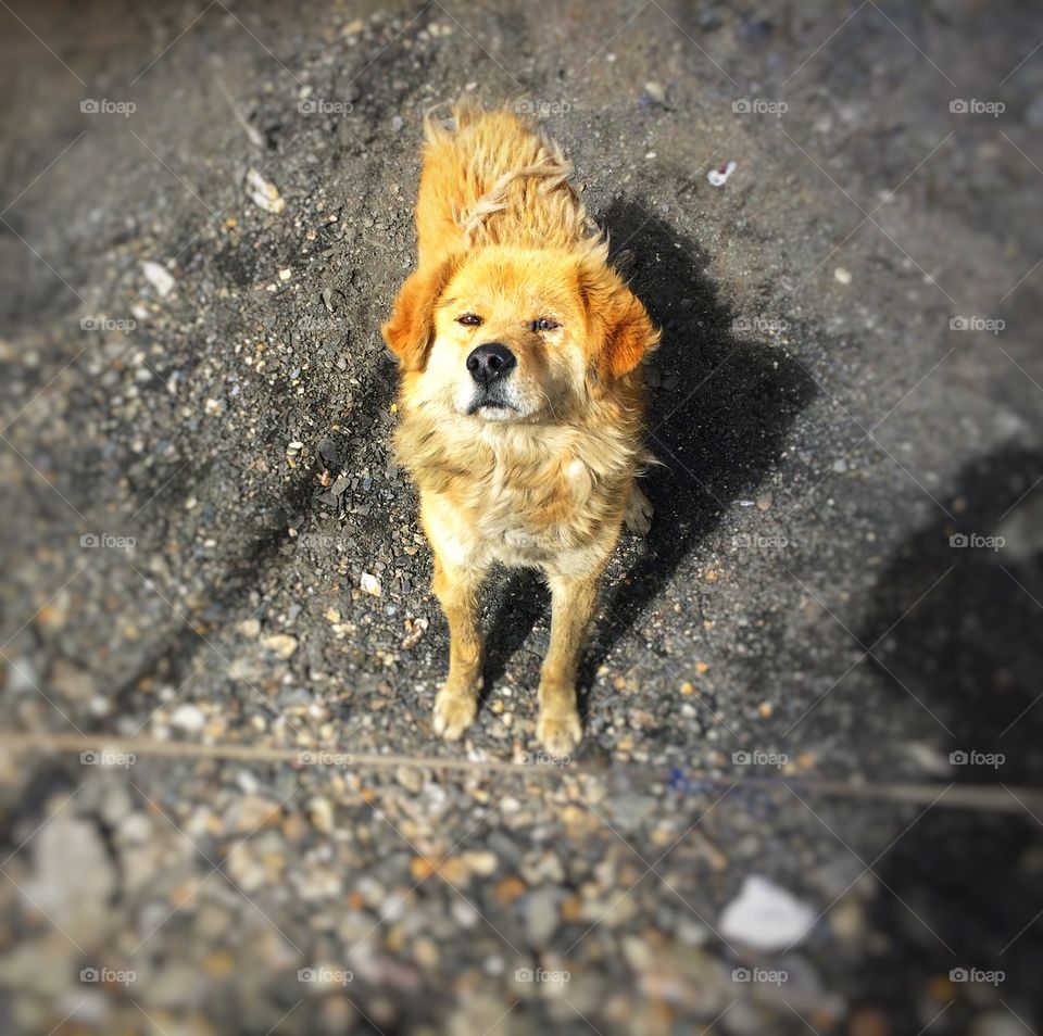 We need not talk... eyes are more than enough!! Language is a creation of human mind lured to trap within words!! 