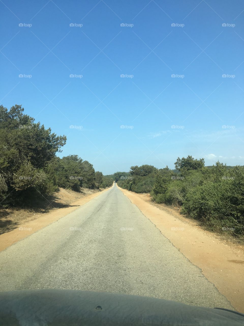 The way to the nature