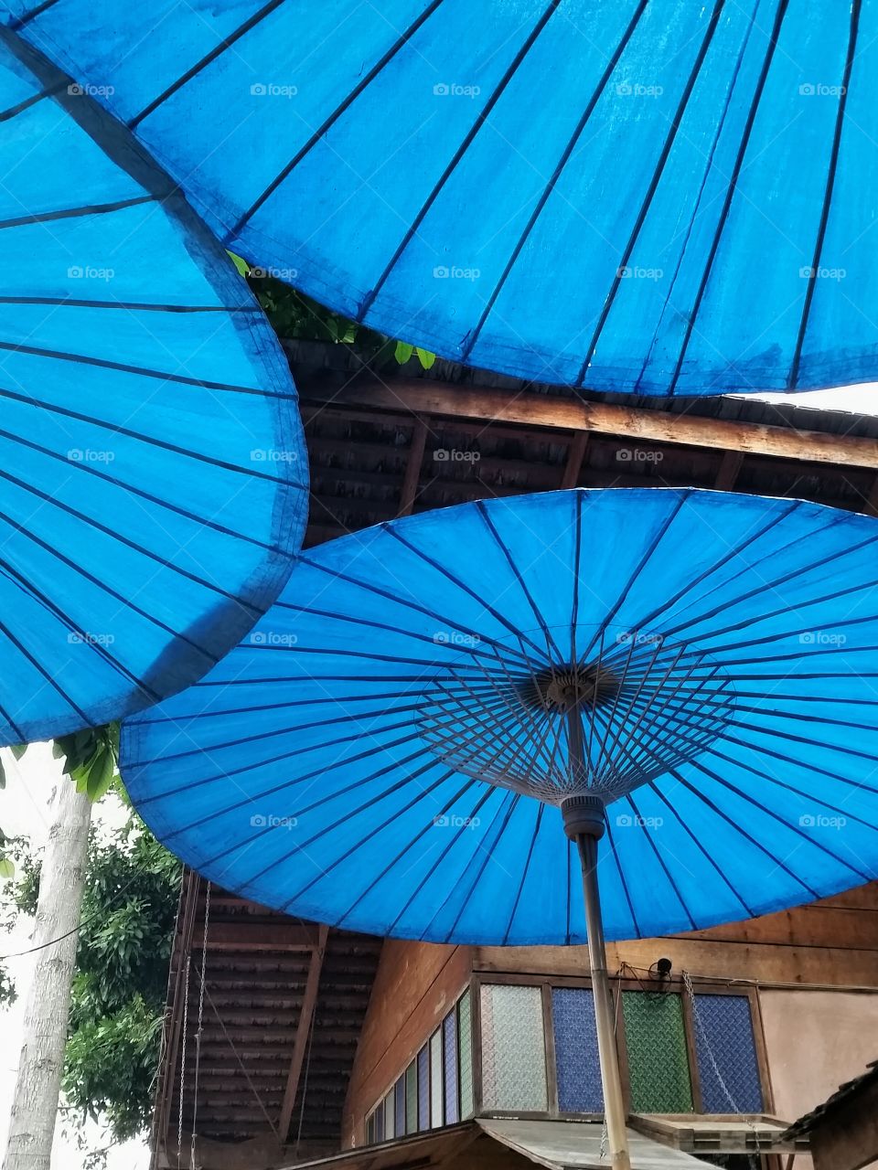 Blue umbrellas