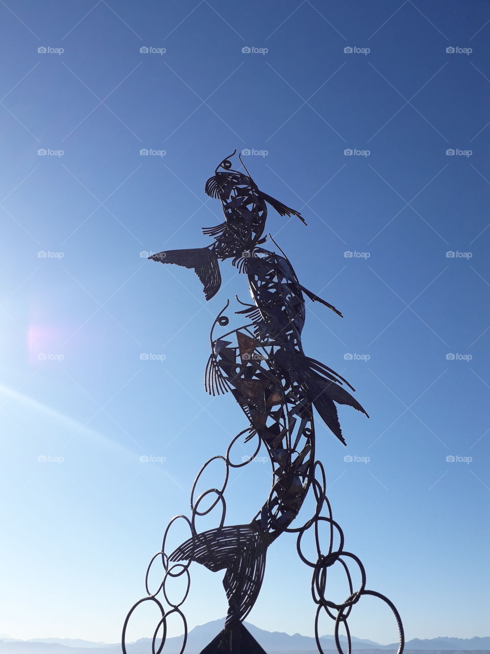 camino de peces al cielo