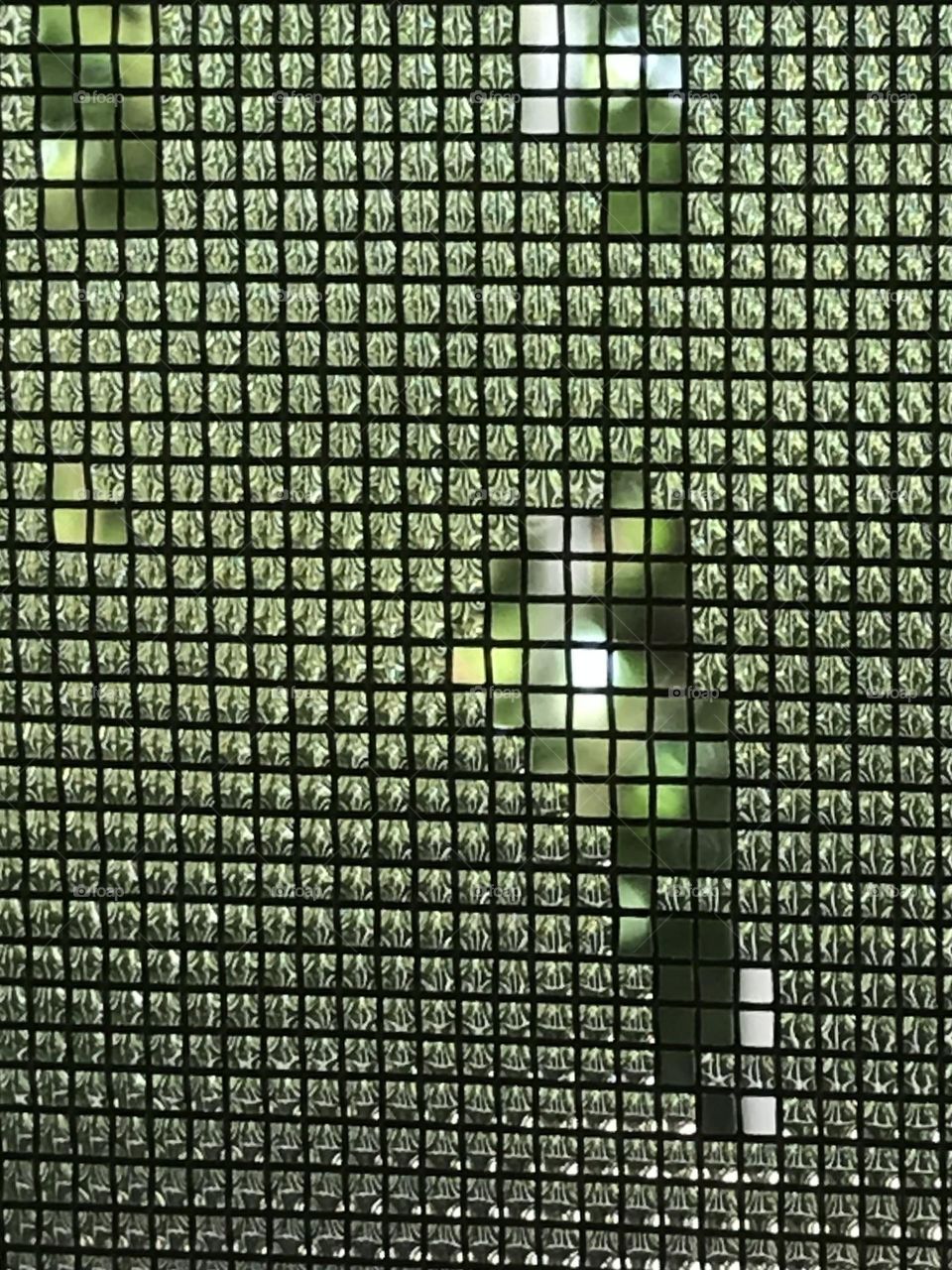 Raindrops entangled in a window net.