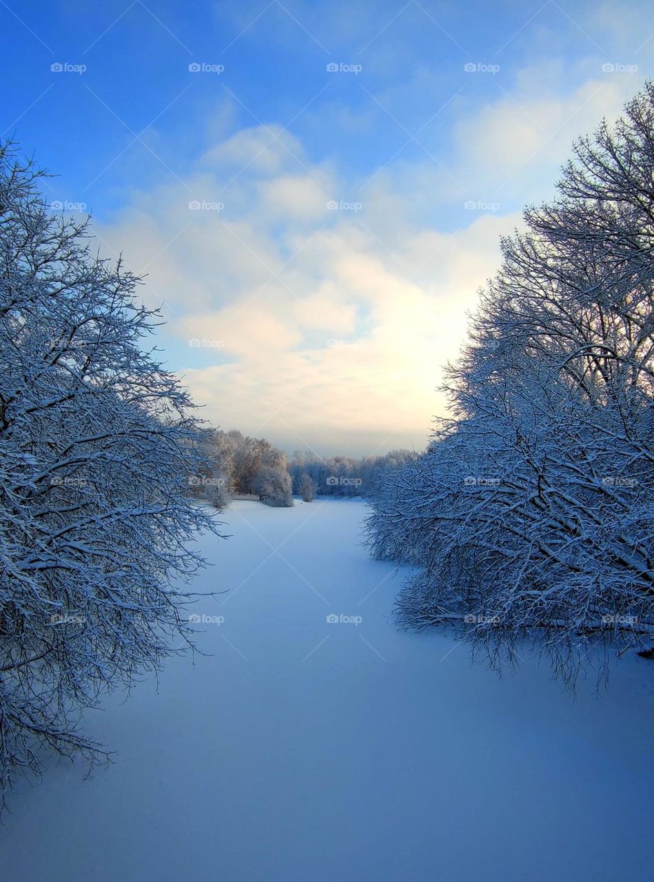 Winter. Nature dressed in a white dress. Frozen river covered with snow. There are snowy trees along the river. Blue sky with white clouds. Clouds merge with snowy trees